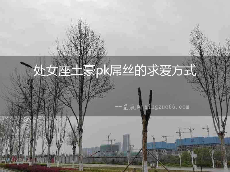 處女座土豪pk屌絲的求愛方式