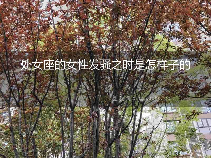 處女座的女性發騷之時是怎樣子的