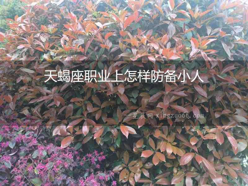 天蝎座職業(yè)上怎樣防備小人