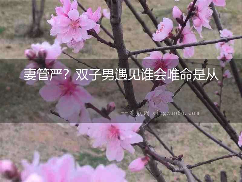 妻管嚴？雙子男遇見誰會唯命是從