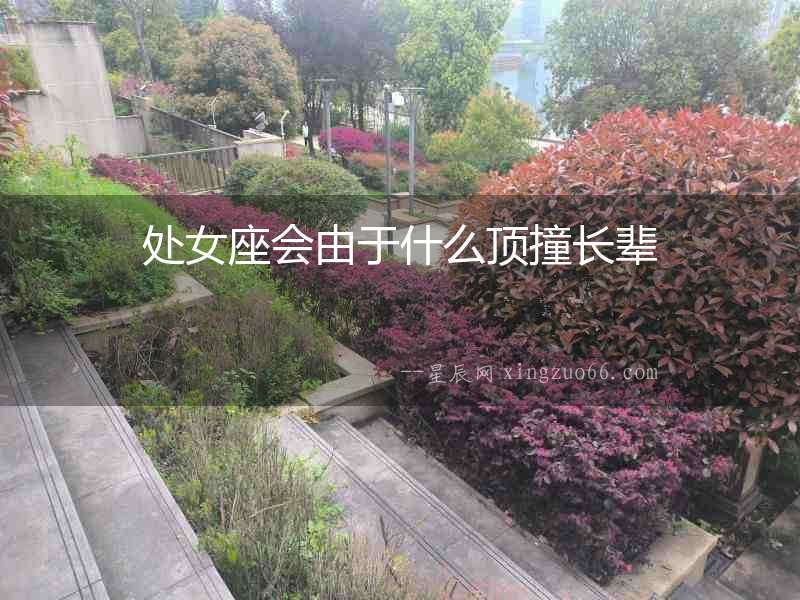 處女座會由于什么頂撞長輩