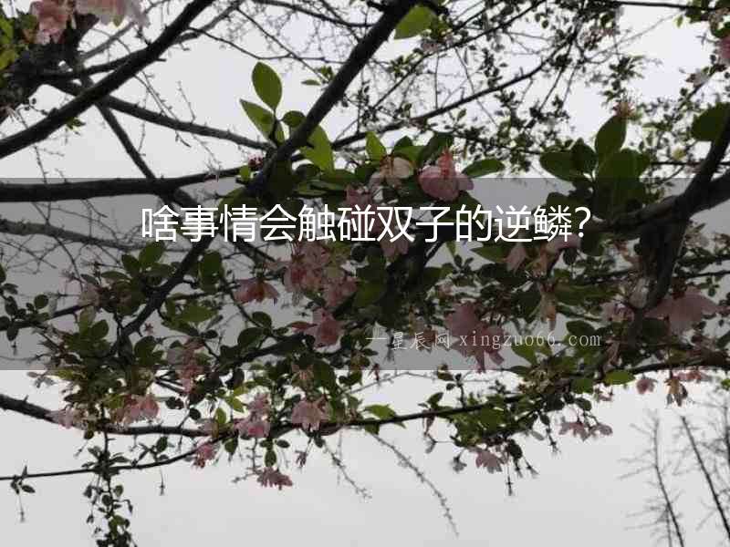 啥事情會觸碰雙子的逆鱗？