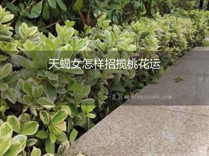 天蝎女怎樣招攬桃花運