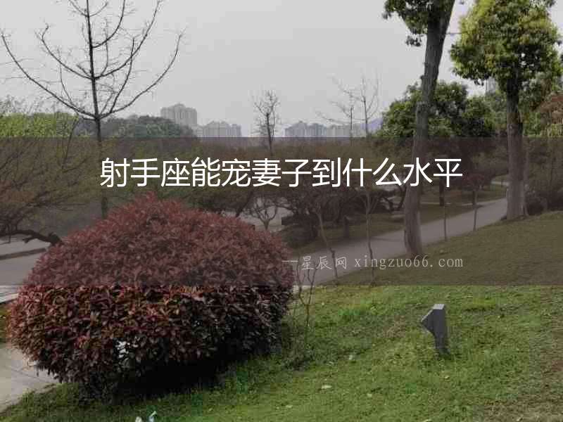 射手座能寵妻子到什么水平