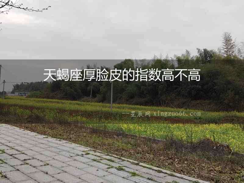 天蝎座厚臉皮的指數高不高