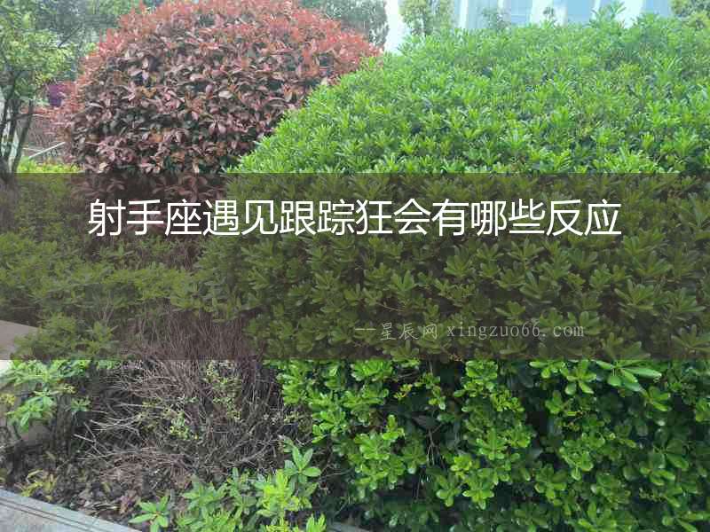 射手座遇見跟蹤狂會有哪些反應