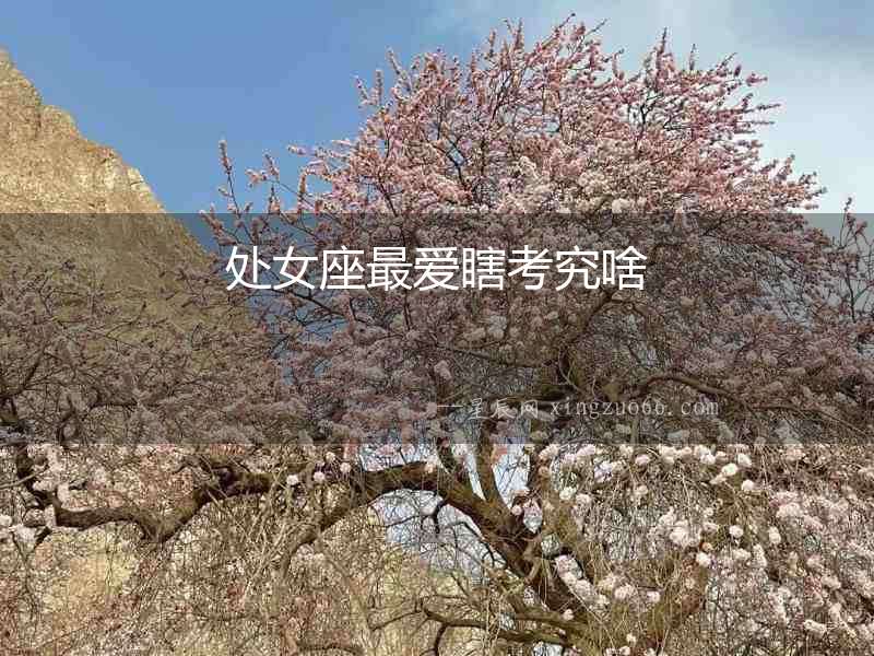 處女座最愛瞎考究啥