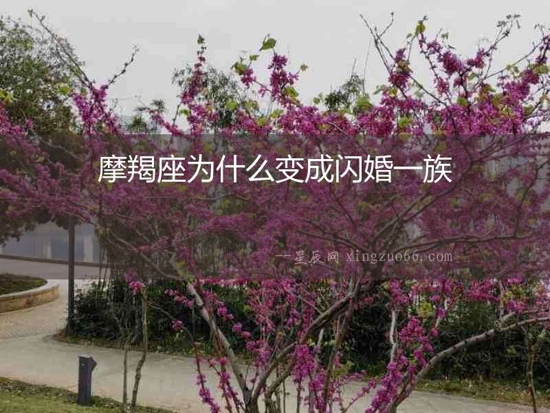 摩羯座為什么變成閃婚一族