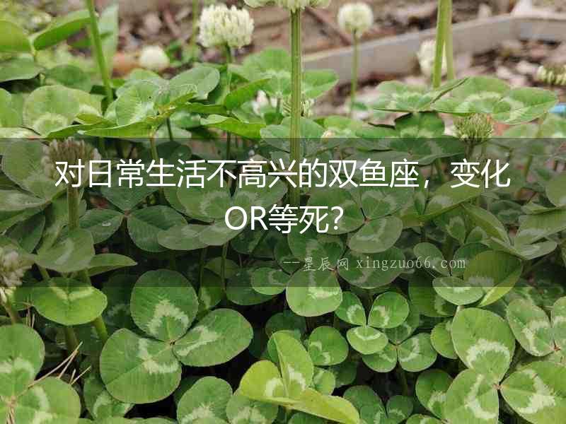 對日常生活不高興的雙魚座，變化OR等死？