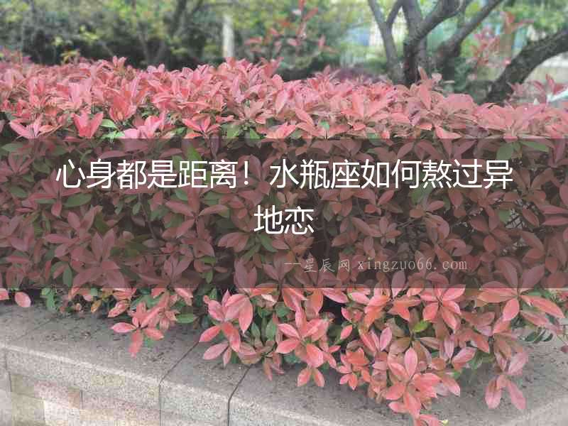 心身都是距離！水瓶座如何熬過異地戀