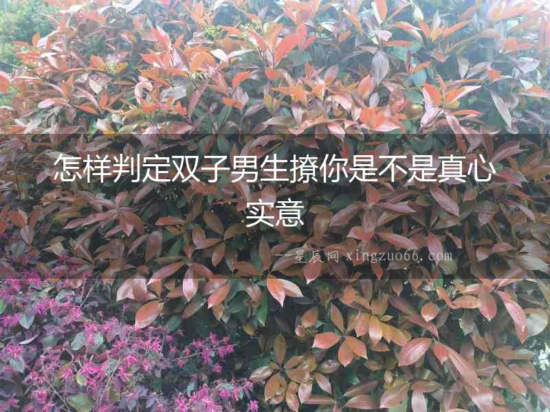 怎樣判定雙子男生撩你是不是真心實意