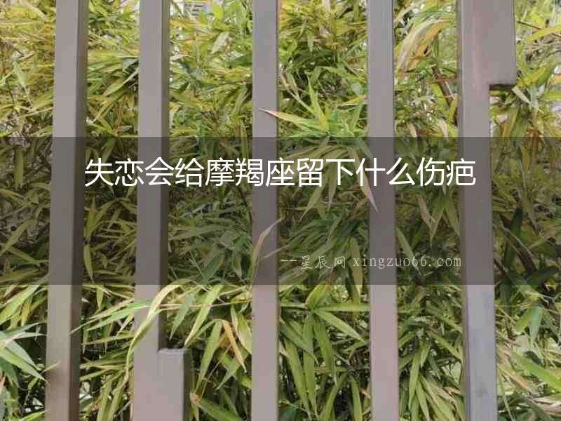 失戀會給摩羯座留下什么傷疤