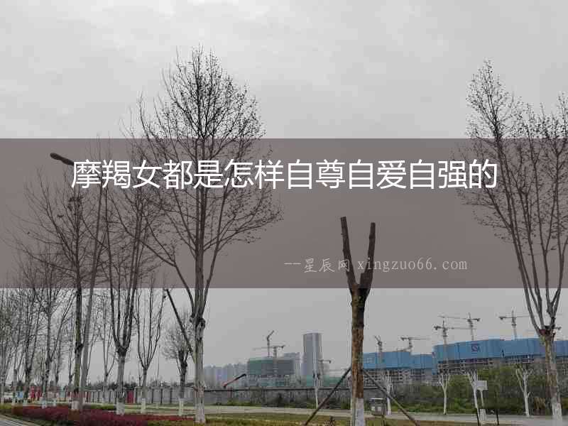摩羯女都是怎樣自尊自愛自強的