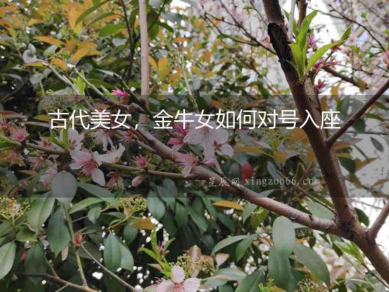 古代美女，金牛女如何對(duì)號(hào)入座