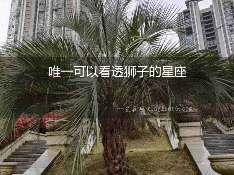 唯一可以看透獅子的星座