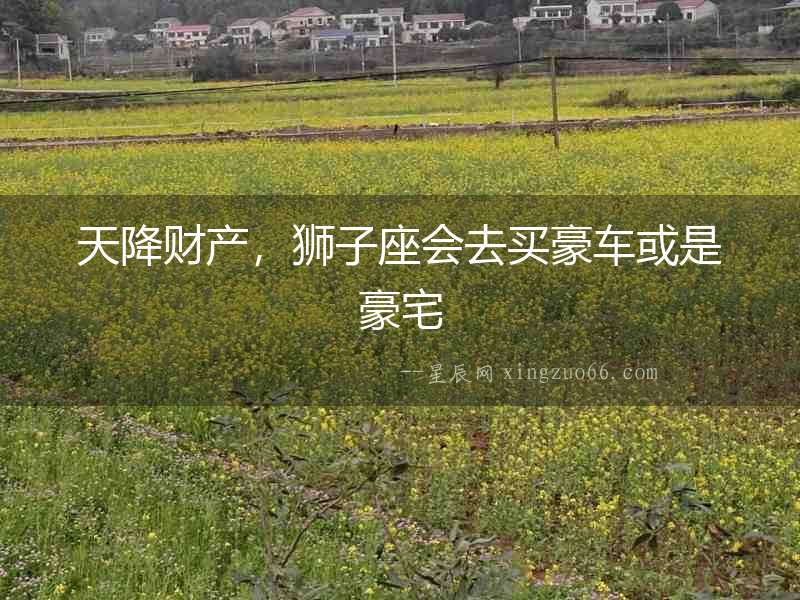 天降財產，獅子座會去買豪車或是豪宅