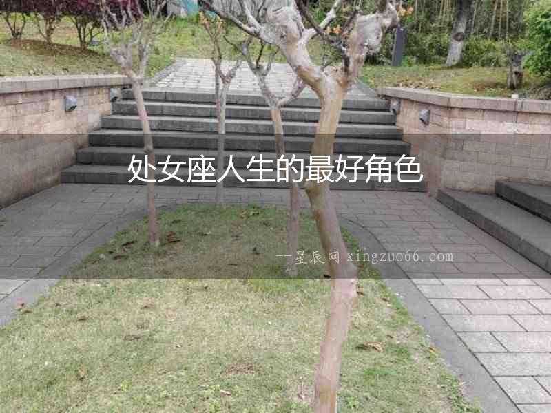 處女座人生的最好角色