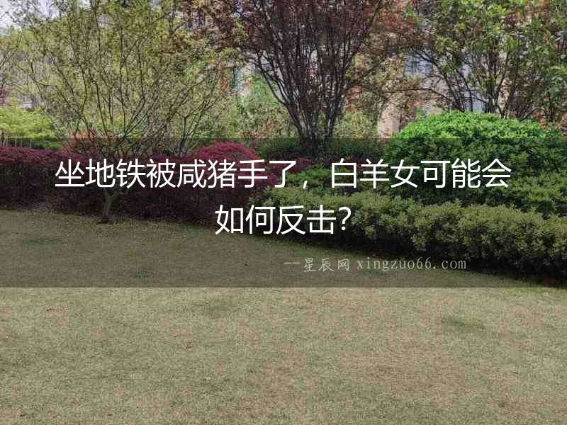 坐地鐵被咸豬手了，白羊女可能會如何反擊？