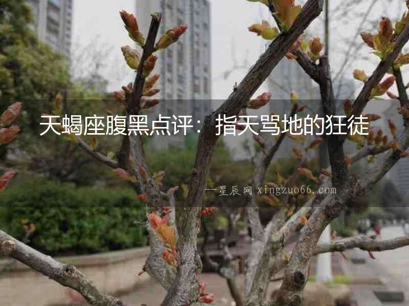 天蝎座腹黑點評：指天罵地的狂徒