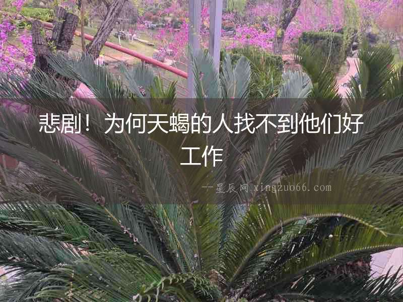 悲劇！為何天蝎的人找不到他們好工作