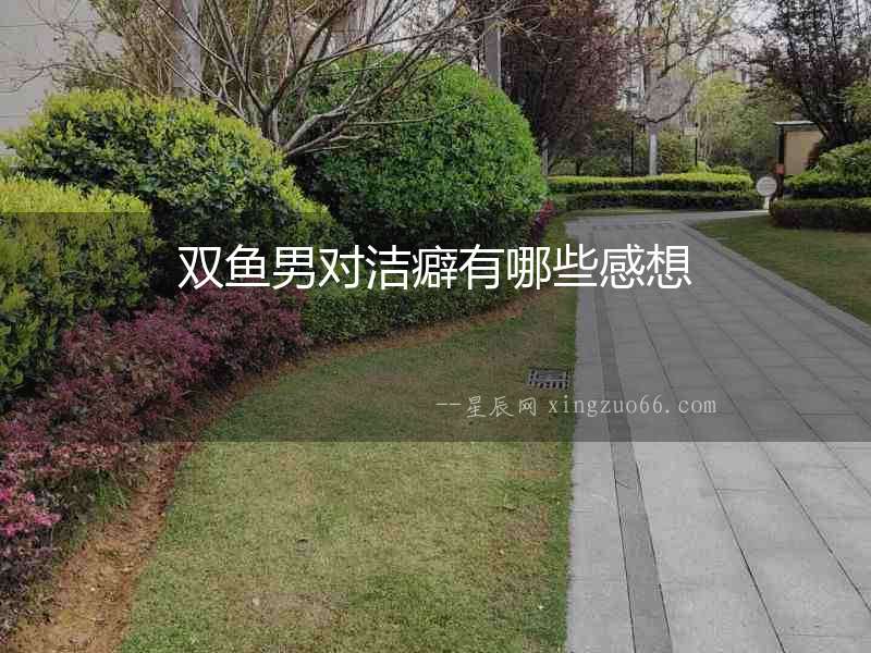 雙魚男對潔癖有哪些感想
