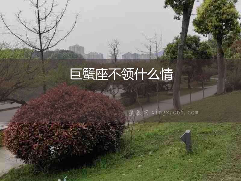 巨蟹座不領什么情