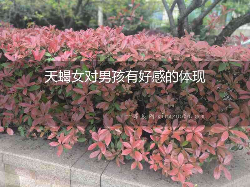 天蝎女對男孩有好感的體現(xiàn)