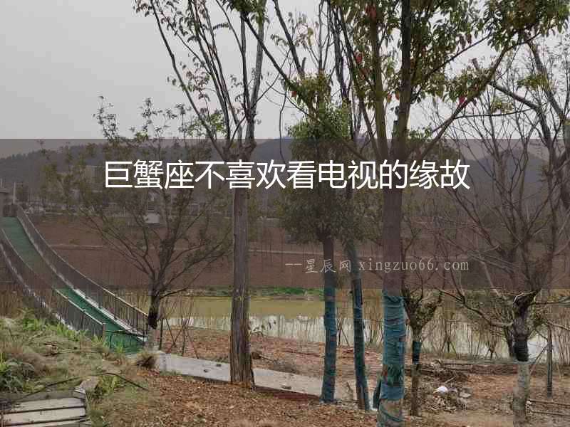 巨蟹座不喜歡看電視的緣故