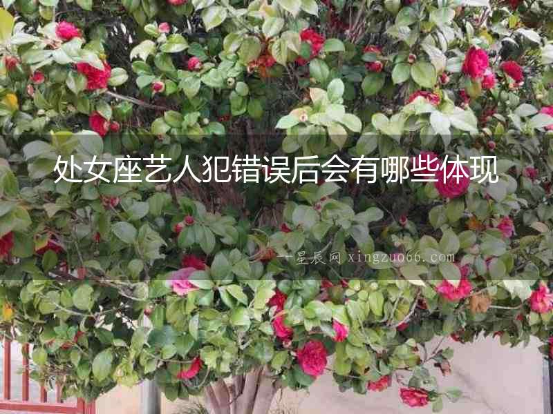 處女座藝人犯錯誤后會有哪些體現