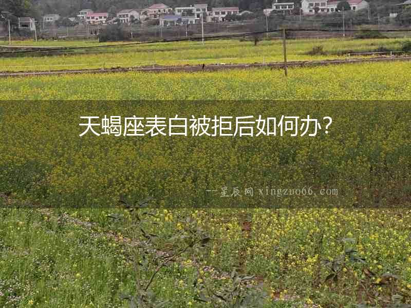天蝎座表白被拒后如何辦？