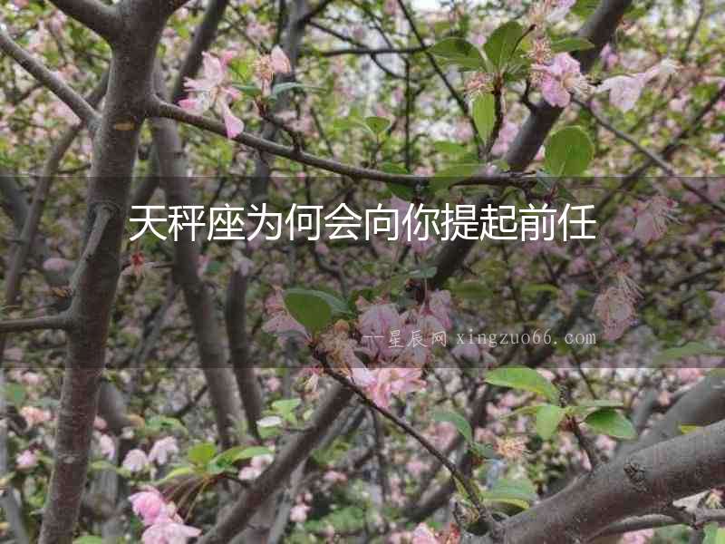 天秤座為何會向你提起前任
