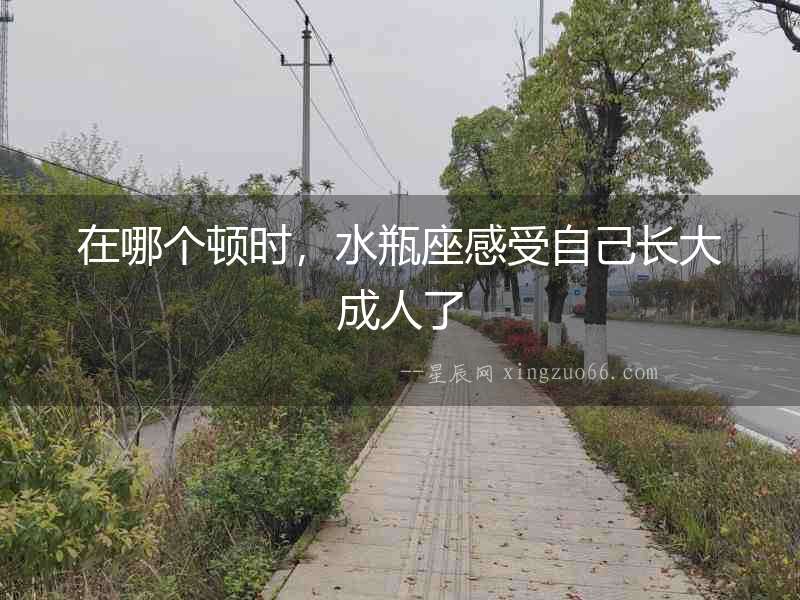 在哪個頓時，水瓶座感受自己長大成人了