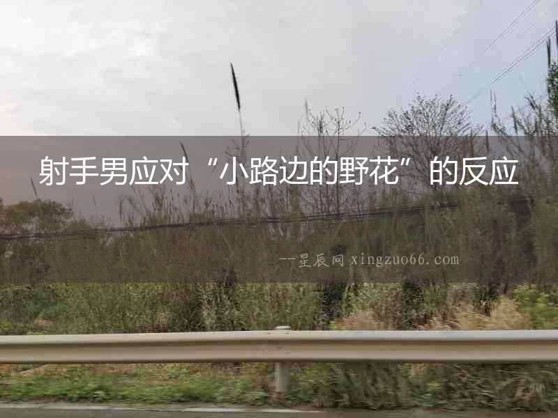 射手男應對“小路邊的野花”的反應