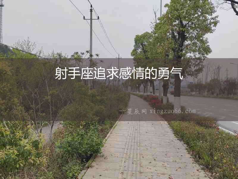 射手座追求感情的勇氣