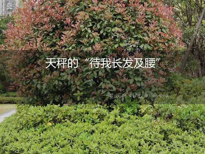 天秤的“待我長(zhǎng)發(fā)及腰”