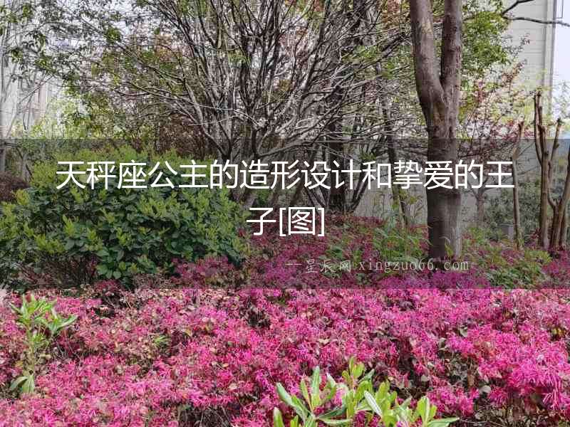 天秤座公主的造形設計和摯愛的王子[圖]