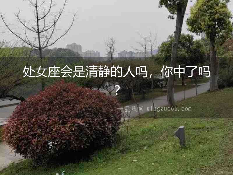 處女座會(huì)是清靜的人嗎，你中了嗎？