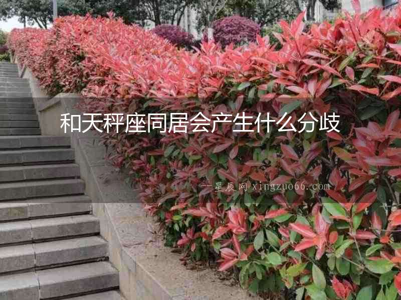 和天秤座同居會產生什么分歧