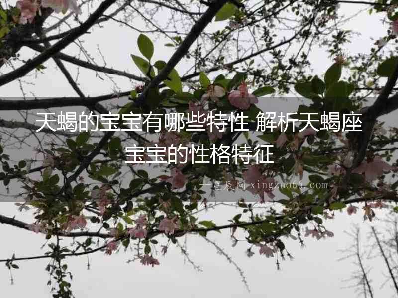 天蝎的寶寶有哪些特性 解析天蝎座寶寶的性格特征