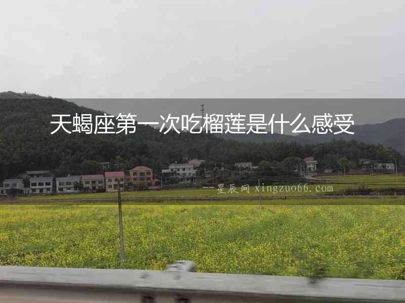 天蝎座第一次吃榴蓮是什么感受
