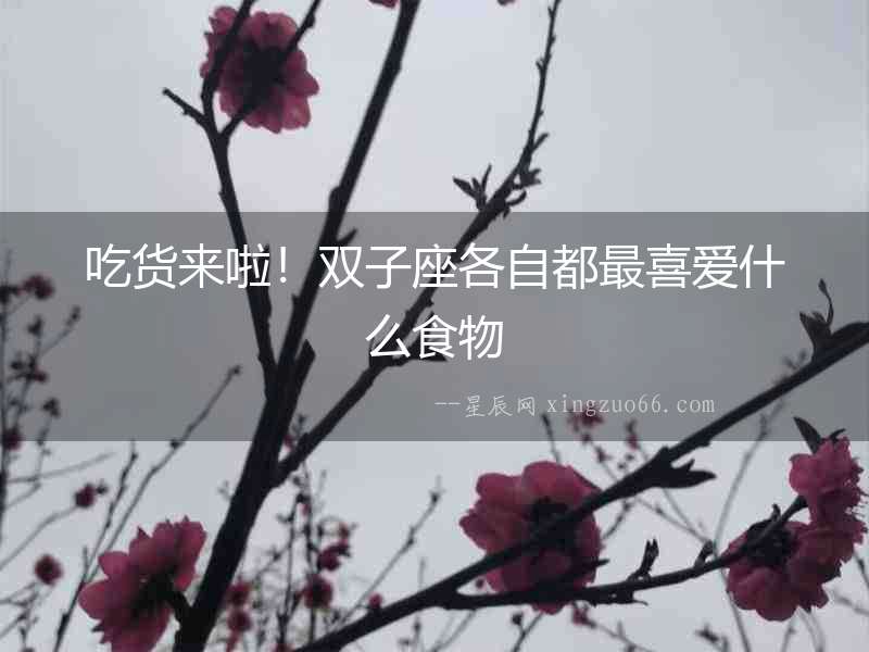吃貨來啦！雙子座各自都最喜愛什么食物