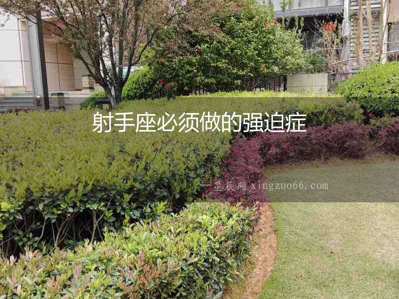 射手座必須做的強迫癥