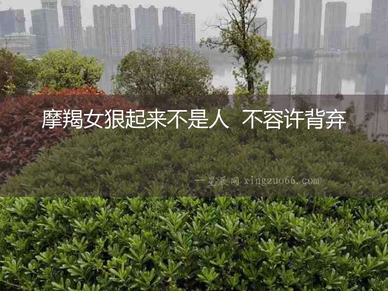 摩羯女狠起來不是人  不容許背棄
