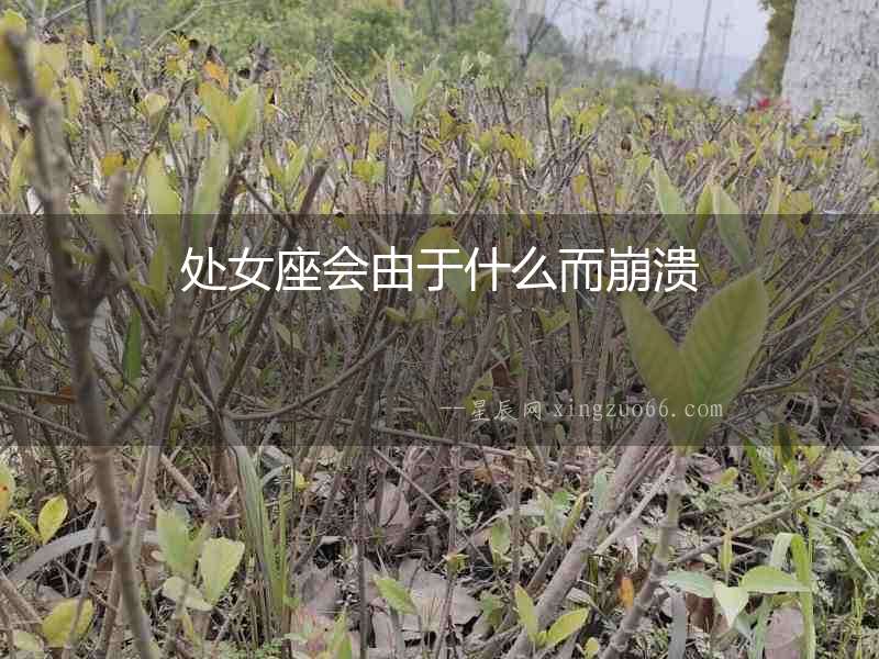處女座會由于什么而崩潰