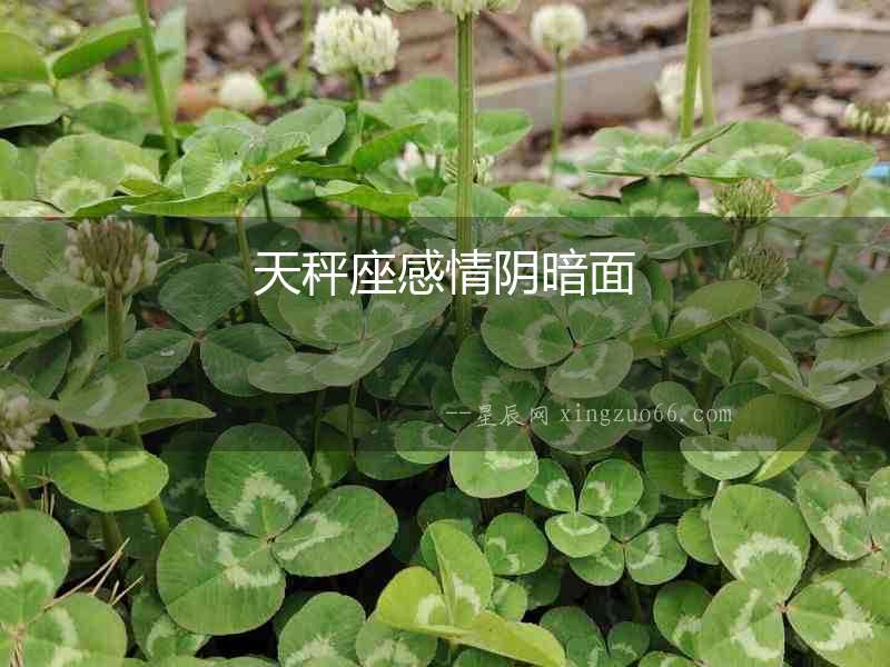 天秤座感情陰暗面