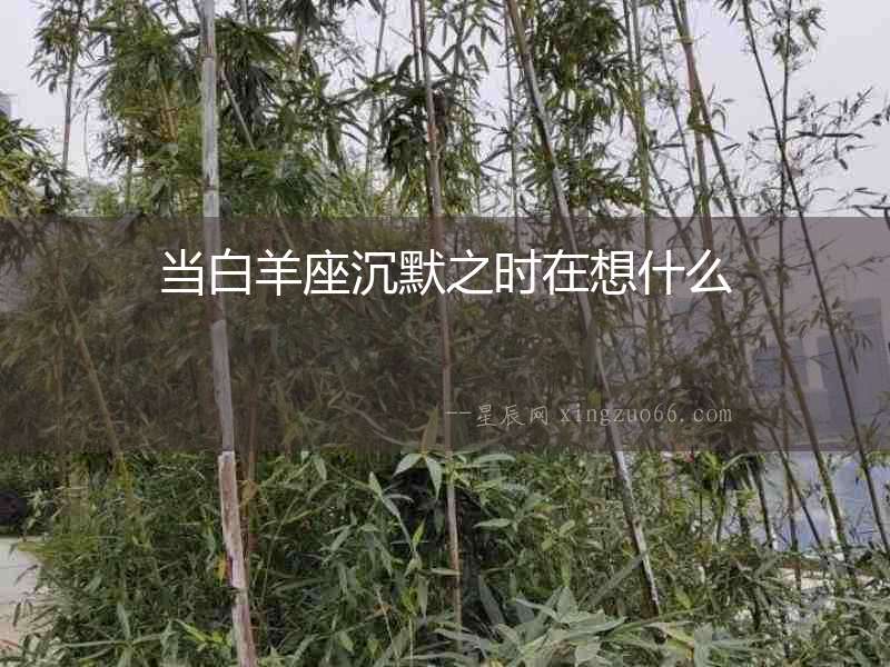 當白羊座沉默之時在想什么