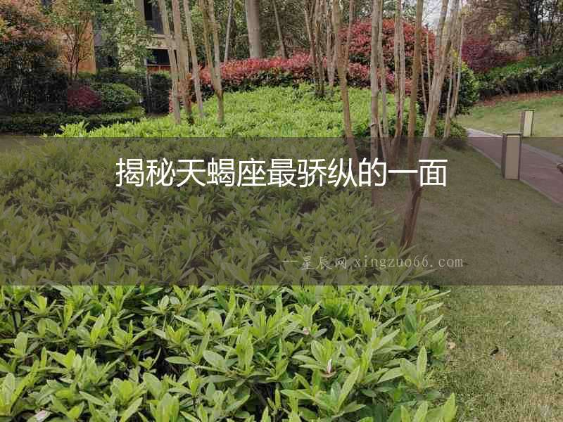 揭秘天蝎座最驕縱的一面