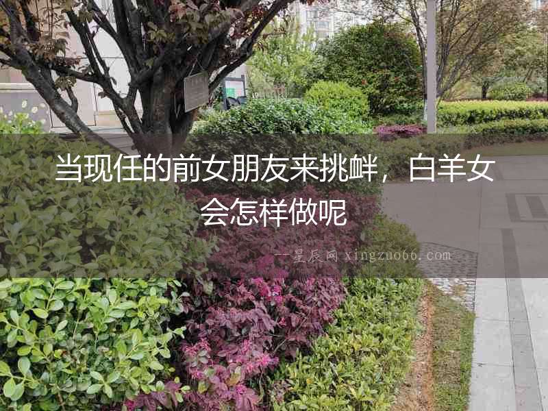 當(dāng)現(xiàn)任的前女朋友來挑釁，白羊女會(huì)怎樣做呢
