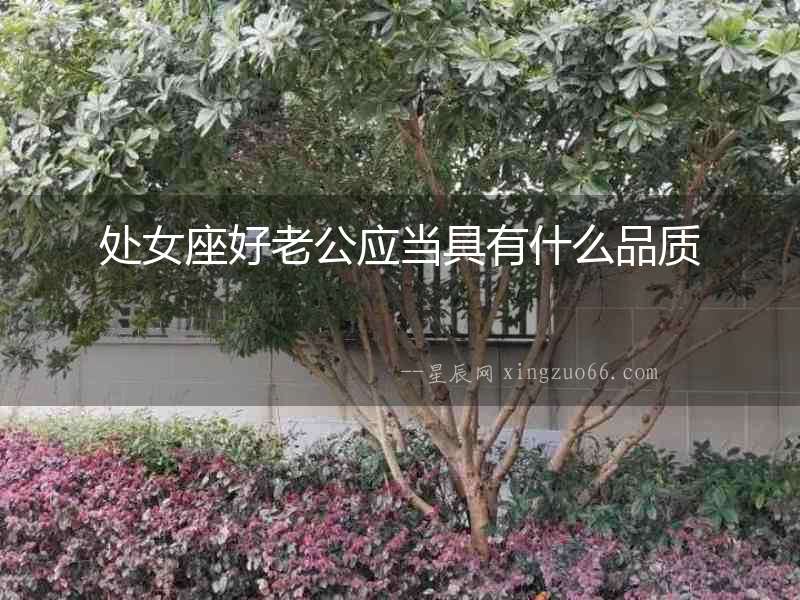 處女座好老公應(yīng)當(dāng)具有什么品質(zhì)