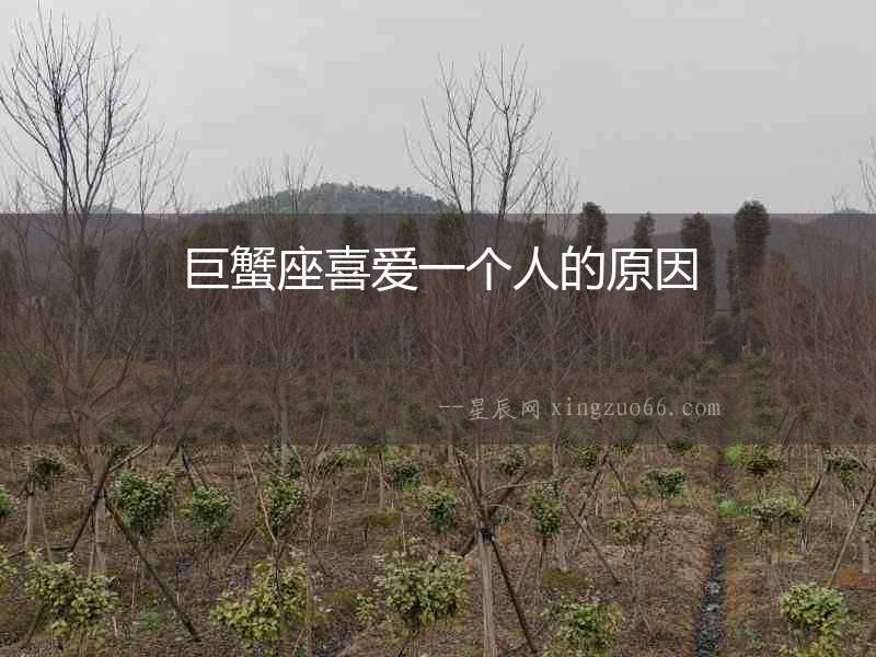 巨蟹座喜愛一個人的原因